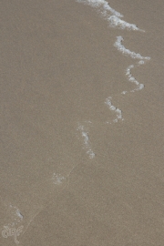 foam on beach