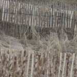 gelaagdheid in duin, layers in dune