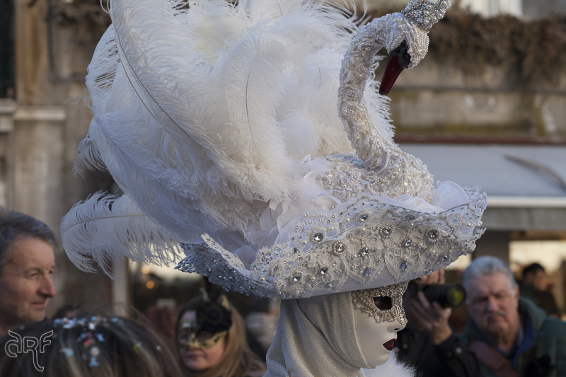 Venice: swan costume