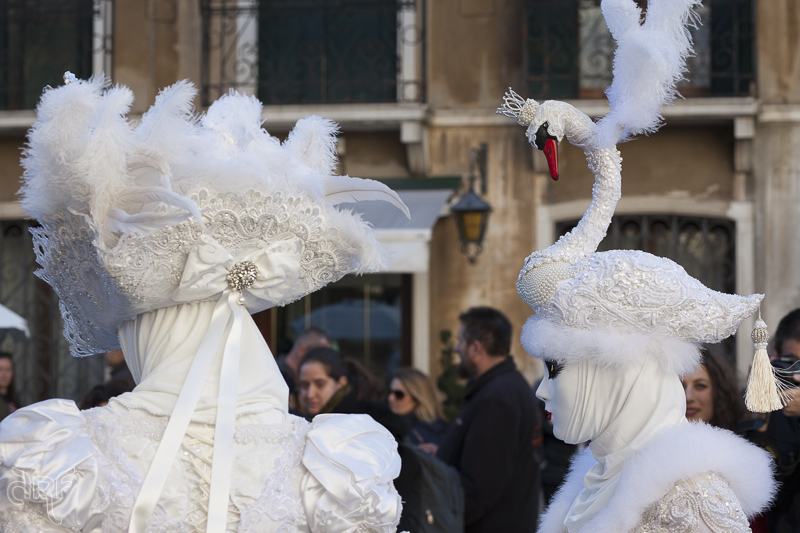 swan costumes in Venice