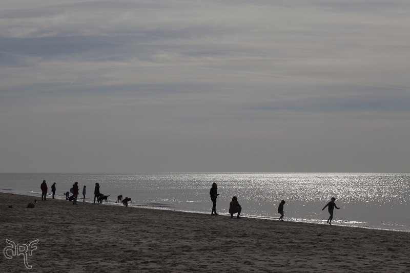 people on beach, Bergen a Zee, Holland