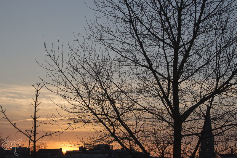 early morning sky II