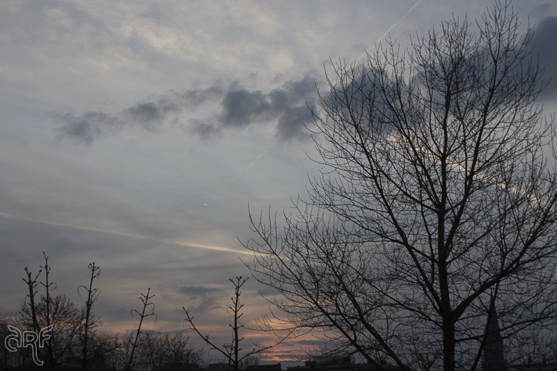 early morning sky II