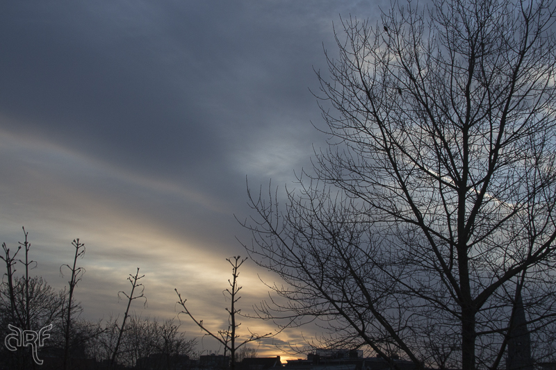 early morning sky IV