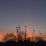 early morning sky VI