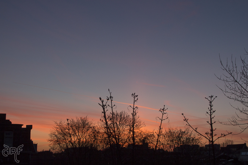 early morning sky VI
