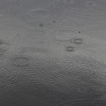 circles of raindrops in water