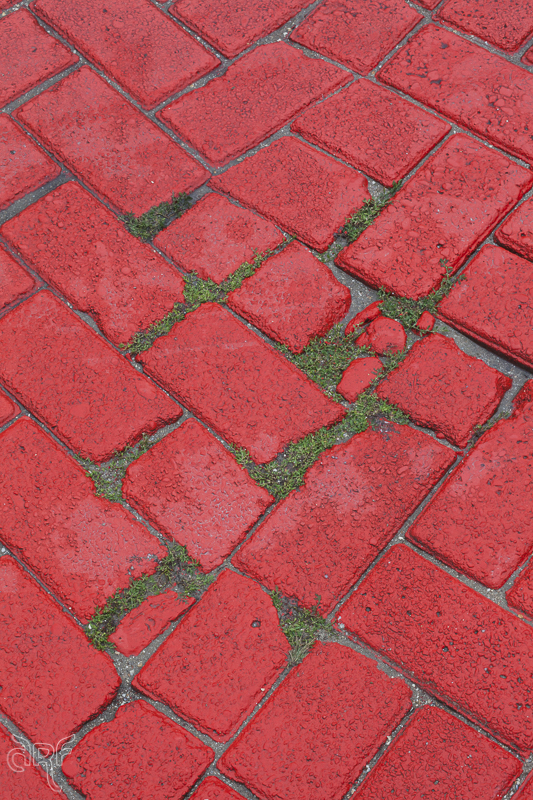 grass between red bricks