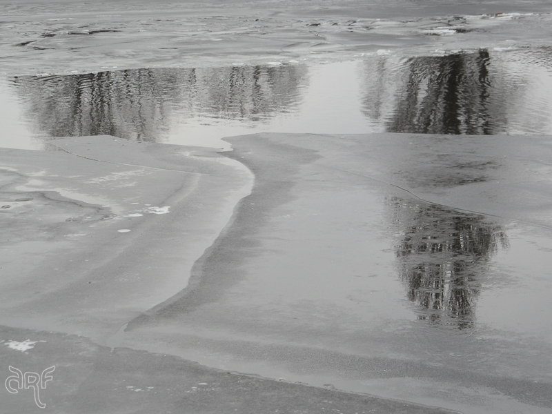 shapes and reflections in thawing ice