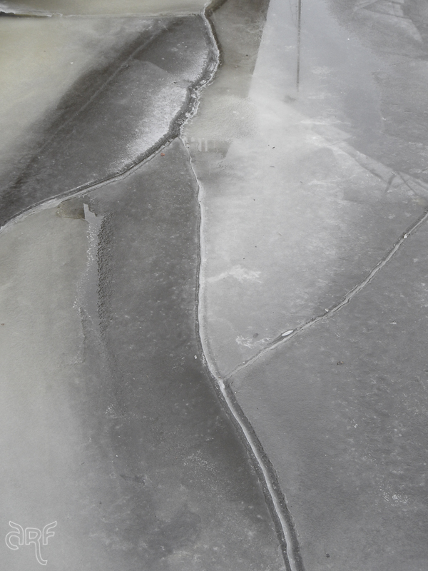 pattern of curved lines in thawing ice