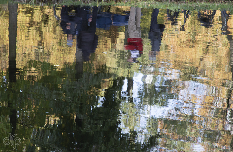 reflection of people in water