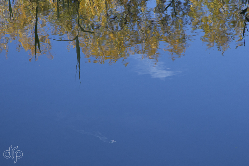 reflection of blue sky and white cloud