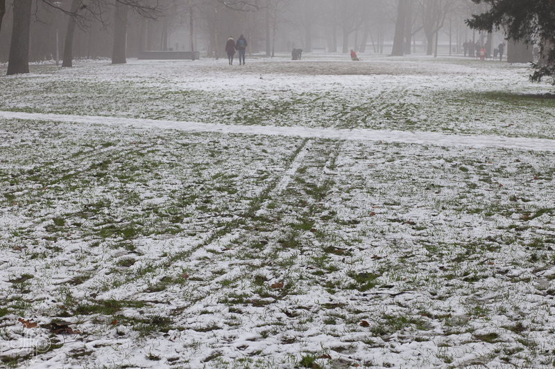 sneeuwsporen in het Vondelpark, Amsterdam