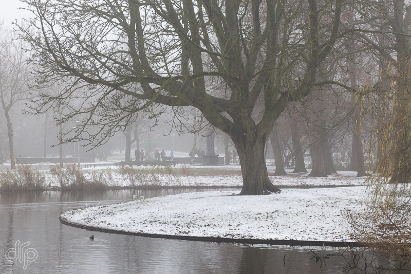 Wintery scene in Vondelpark, Amsterdam