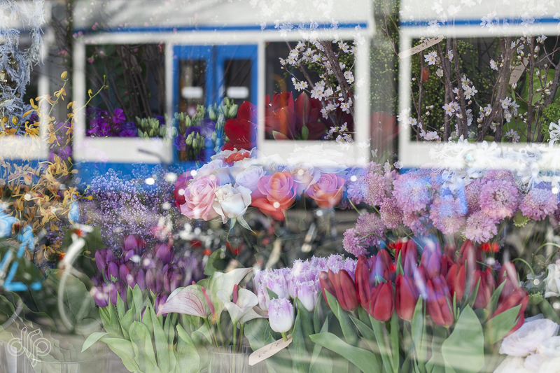 reflection of tram in flower shop window