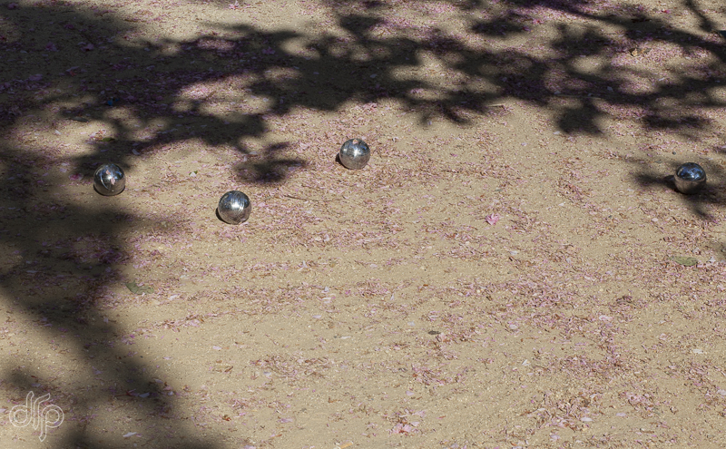 roze prunusblaadjes op de grond met 4 zilveren jeu de boule ballen