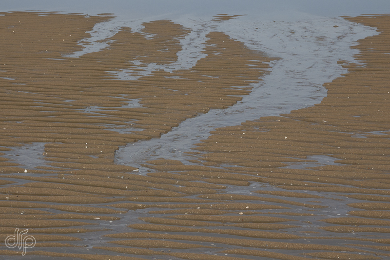 Water van de zwin met rimpelingen in het zand