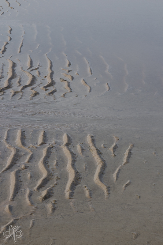 een paar rimpelingen in het zand met water van de zwin