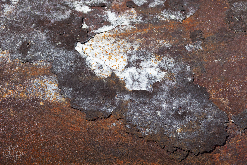 rusty and white surface