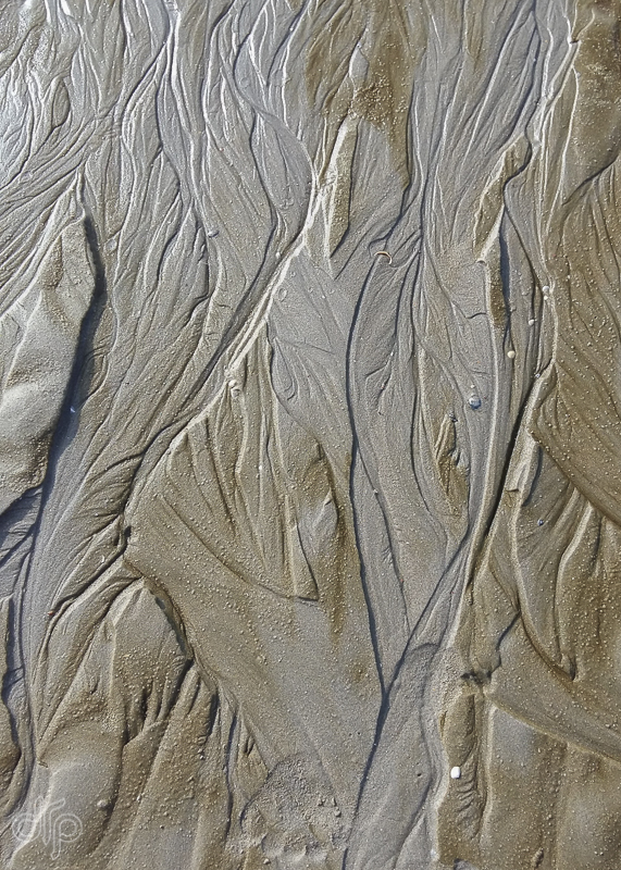patterns of currents in sand
