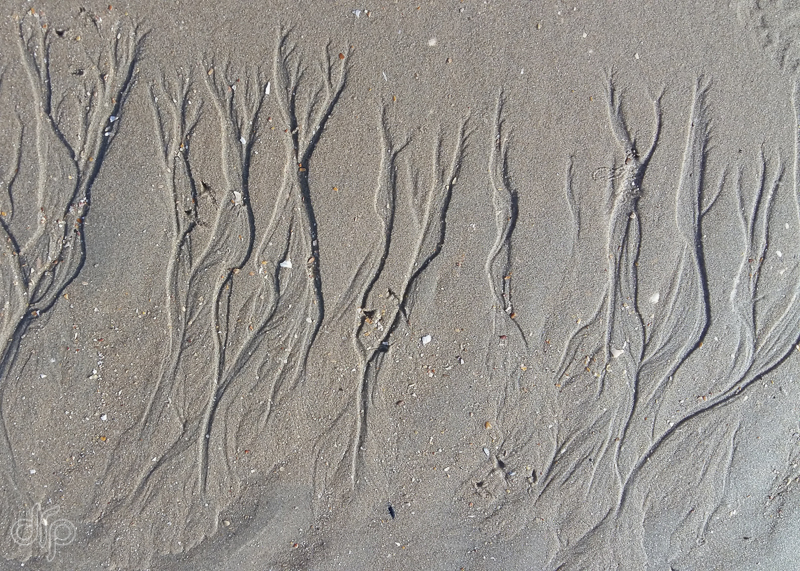 drp-abstract-wavy-pattern-in-sand.jpg