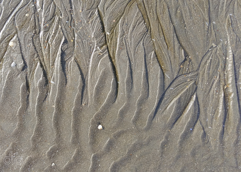 transition in sand patterns