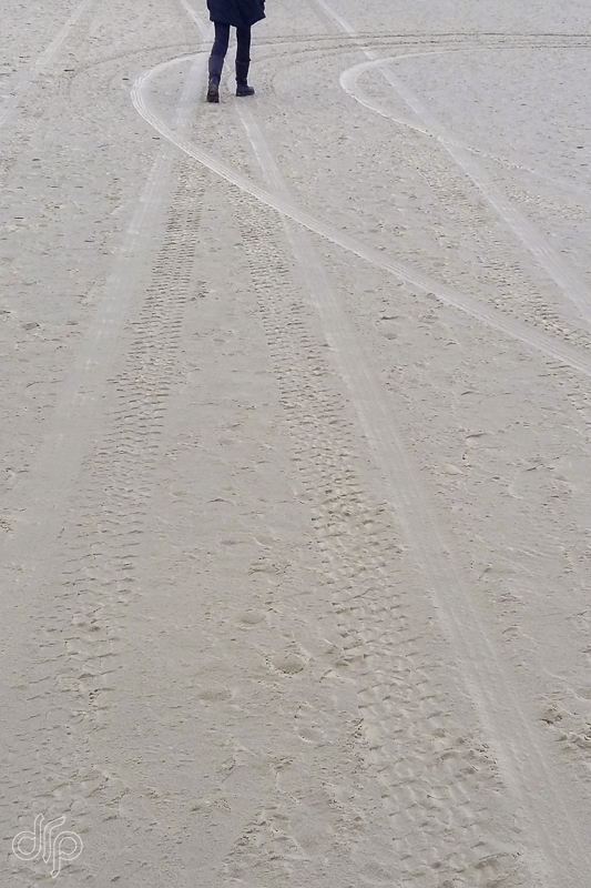 Track patterns in sand
