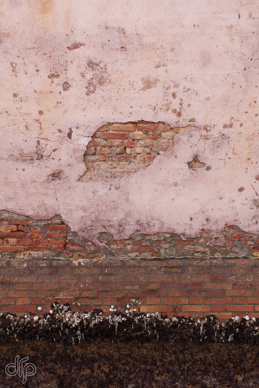Pink textured wall by low tide in Venice, Italy